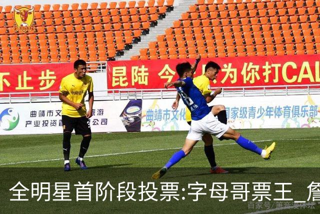 全明星首阶段投票:字母哥票王 詹姆斯西部票王